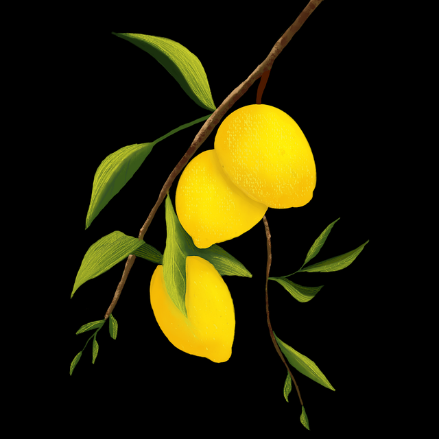 幕后花絮探花视频（全球大赛）追剧首选
