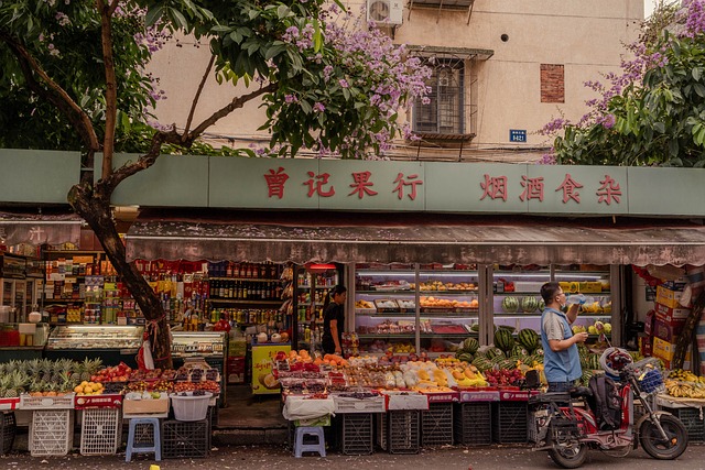 蘑菇视频 第2张